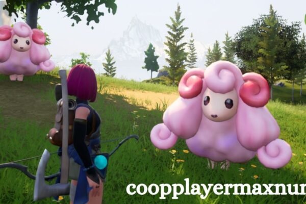 Coopplayermaxnum