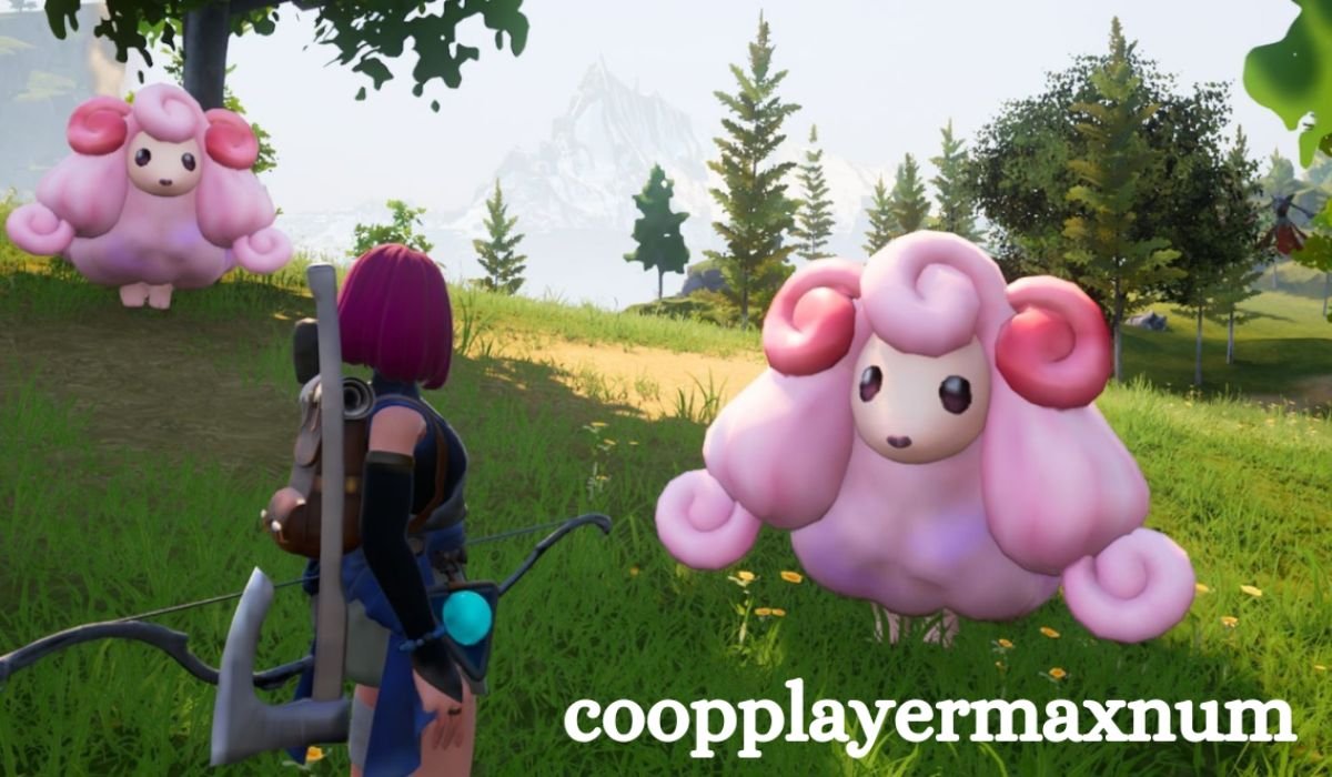 Coopplayermaxnum